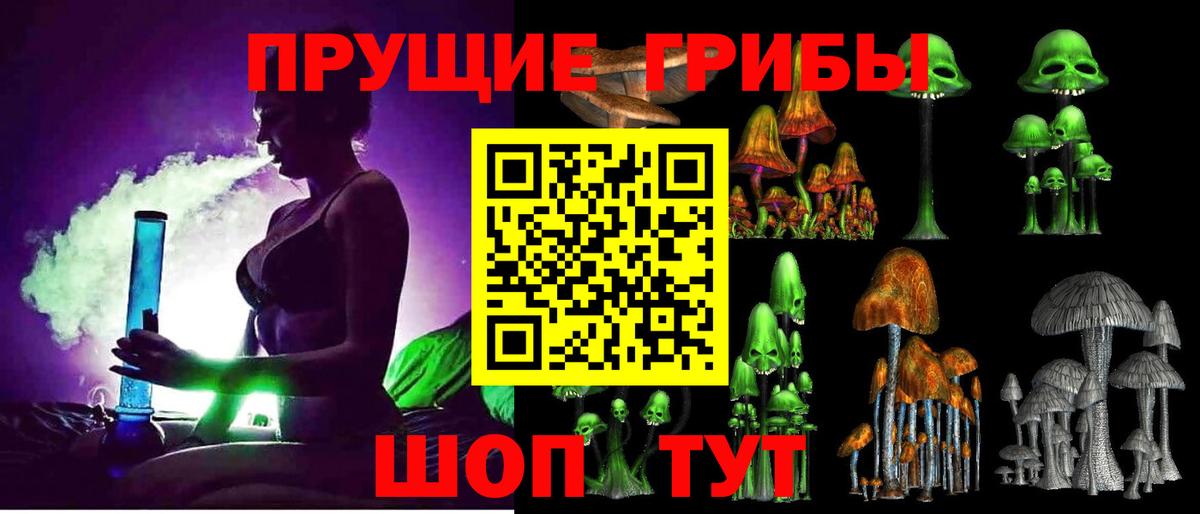 Псилоцибиновые грибы Cubensis Городец