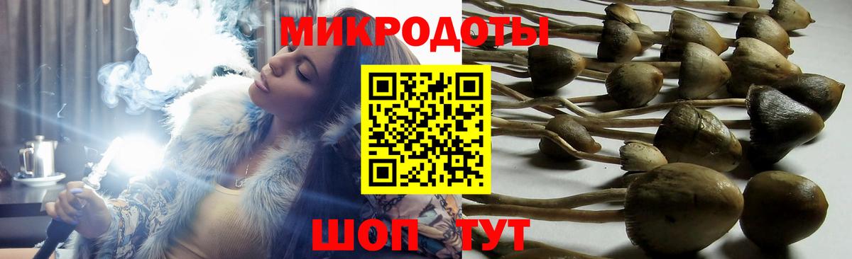 Псилоцибиновые грибы ЛСД  Псилоцибиновые грибы GOLDEN TEACHER  купить наркотик  Вход с VPN  Городец 